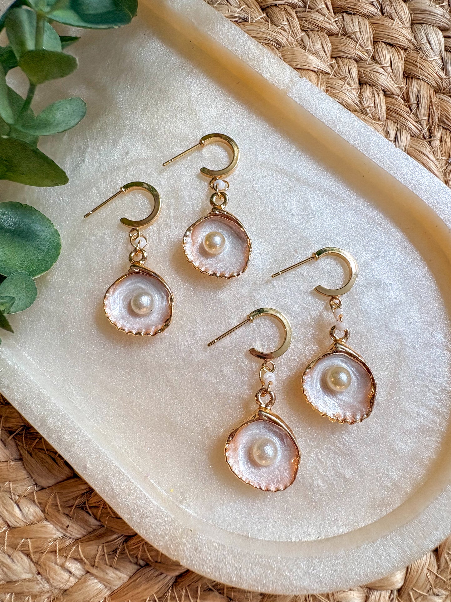 Gold plated clam shell earrings