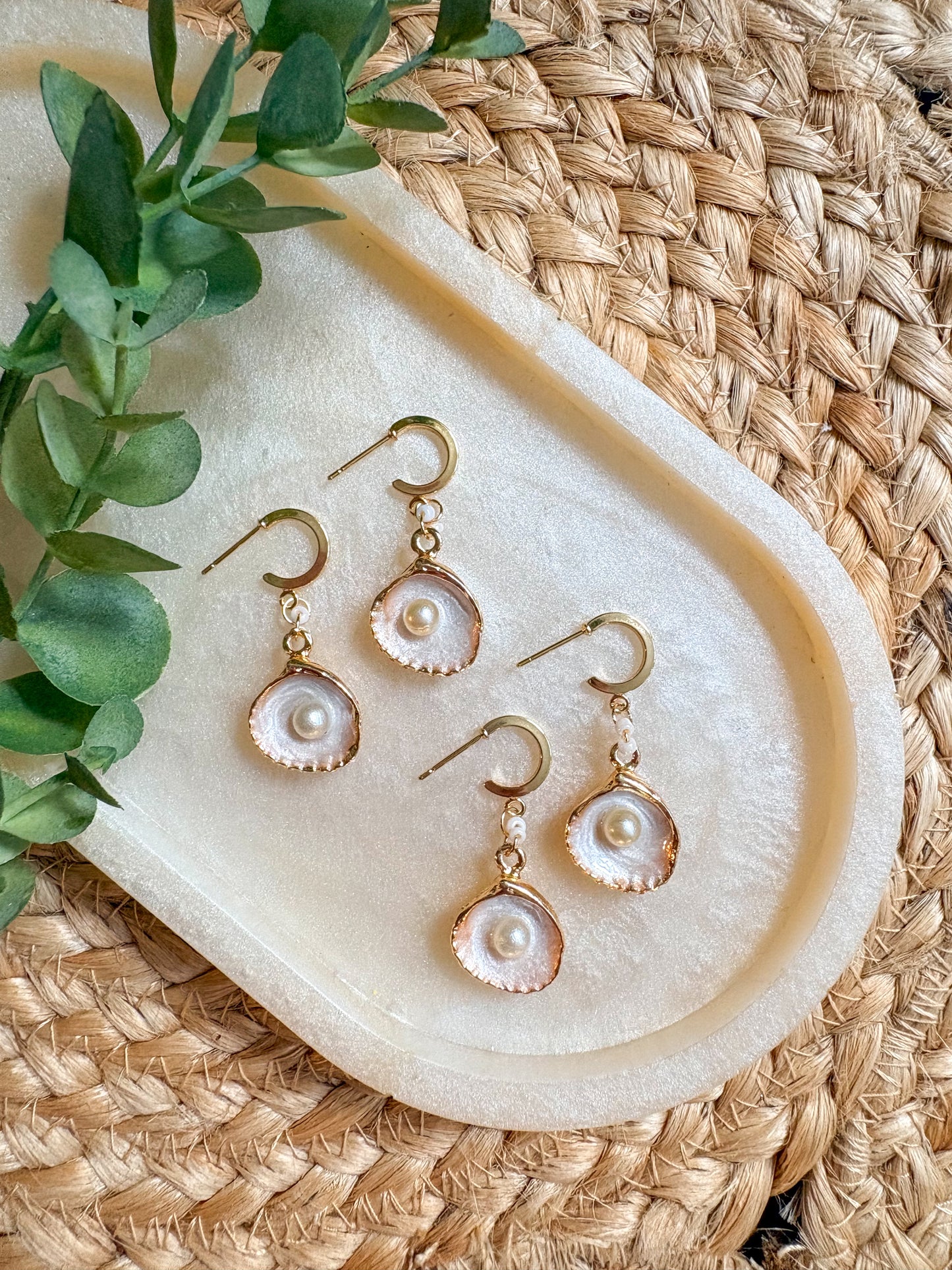 Gold plated clam shell earrings