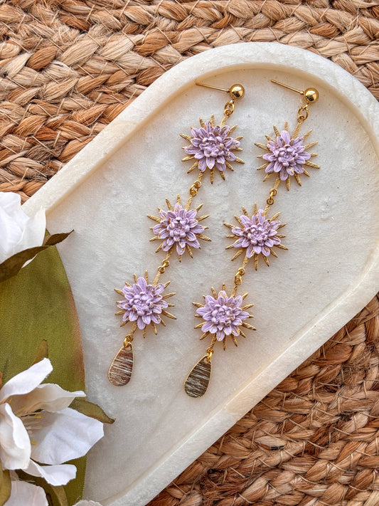 Blooming Crysanths