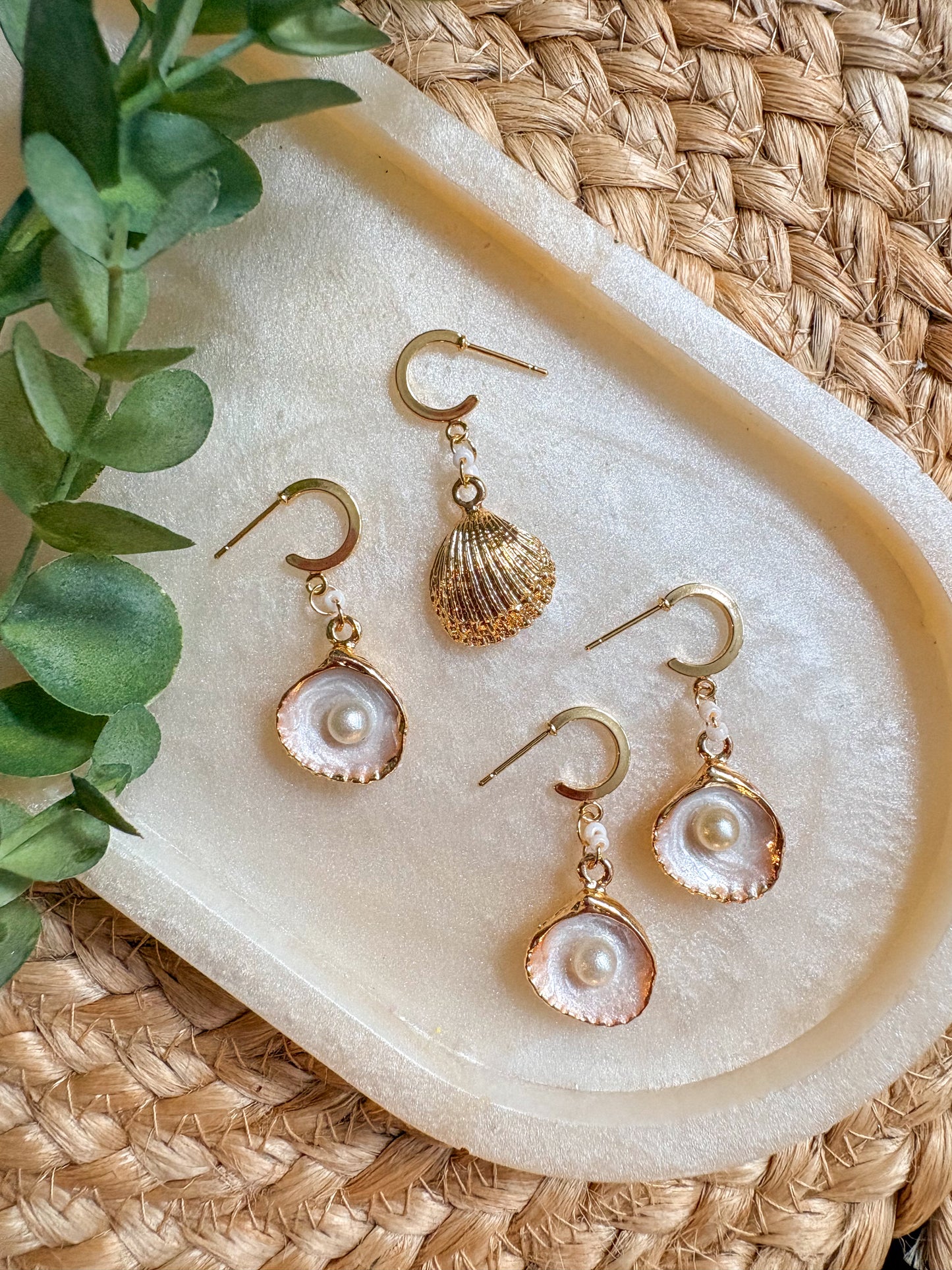 Gold plated clam shell earrings